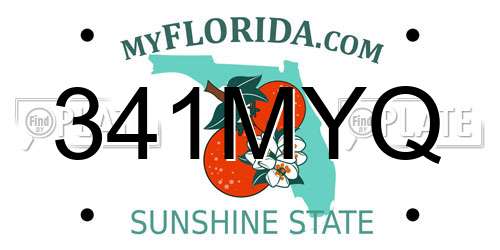 341MYQ Florida License Plate