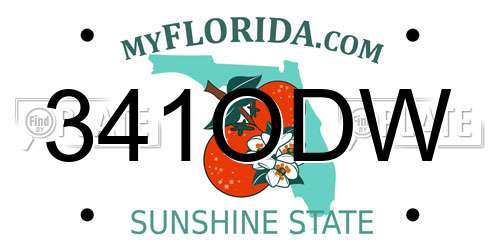 341ODW Florida License Plate