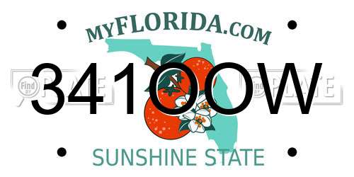 341OOW Florida License Plate