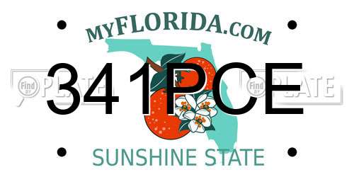 341PCE Florida License Plate