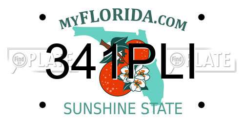 341PLI Florida License Plate