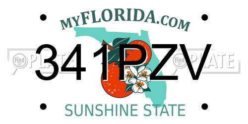 341PZV Florida License Plate
