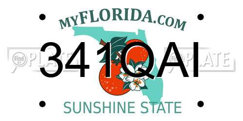 341QAI Florida License Plate