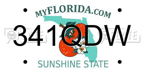 341QDW Florida License Plate