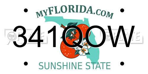 341QOW Florida License Plate