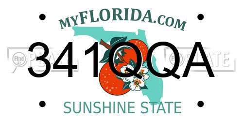 341QQA Florida License Plate