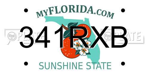 341RXB Florida License Plate