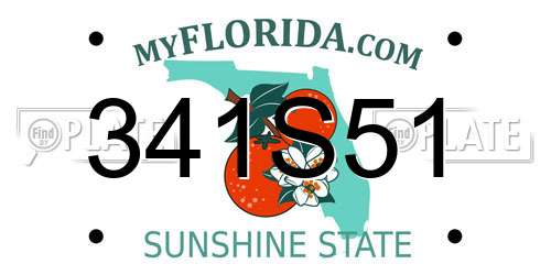 341S51 Florida License Plate