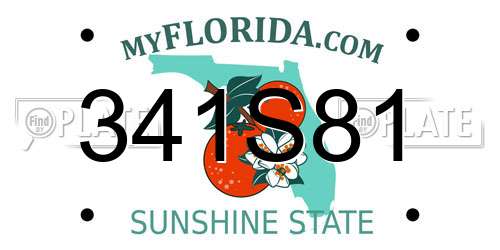 341S81 Florida License Plate