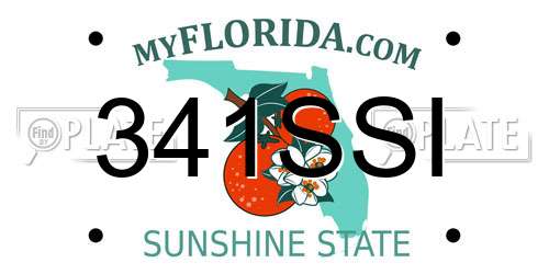 341SSI Florida License Plate