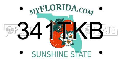 341TKB Florida License Plate