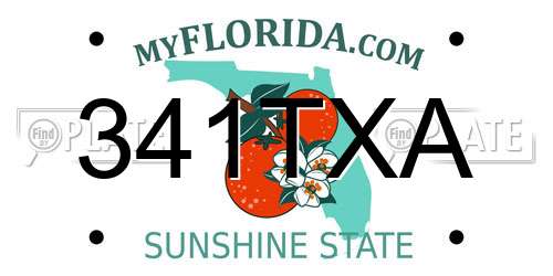 341TXA Florida License Plate