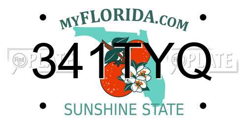 341TYQ Florida License Plate