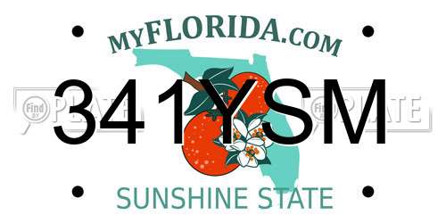 341YSM Florida License Plate