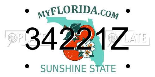 34221Z Florida License Plate