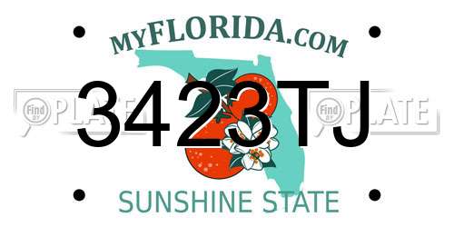 3423TJ Florida License Plate
