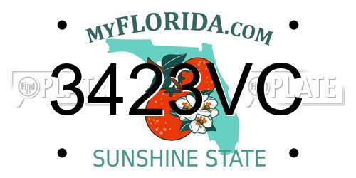 3423VC Florida License Plate