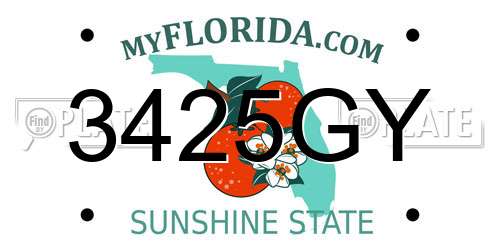 3425GY Florida License Plate