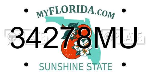 34278MU Florida License Plate