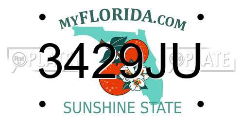 3429JU Florida License Plate
