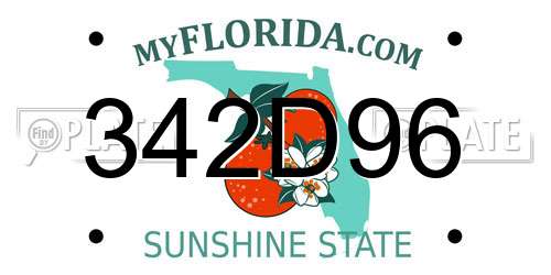 342D96 Florida License Plate