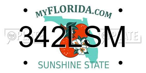 342LSM Florida License Plate