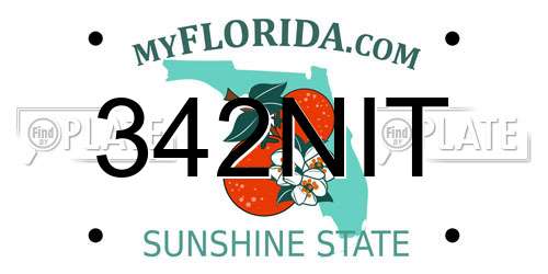 342NIT Florida License Plate