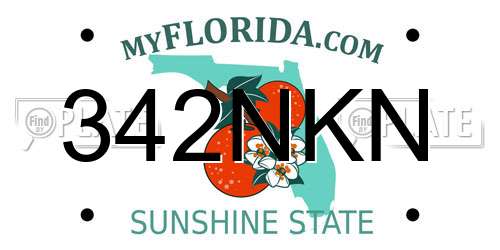 342NKN Florida License Plate