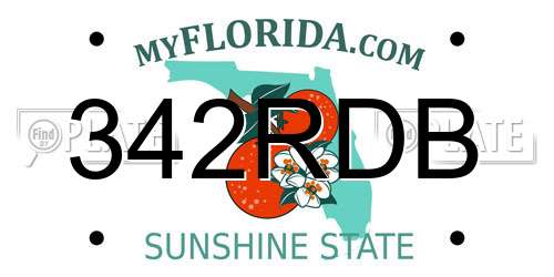 342RDB Florida License Plate