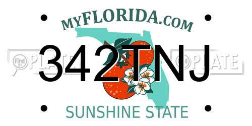 342TNJ Florida License Plate