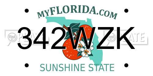 342WZK Florida License Plate