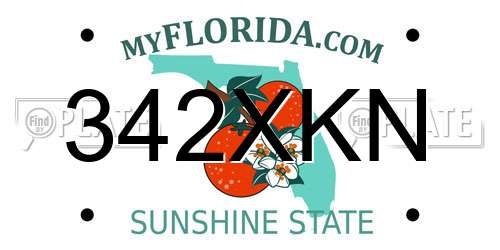 342XKN Florida License Plate