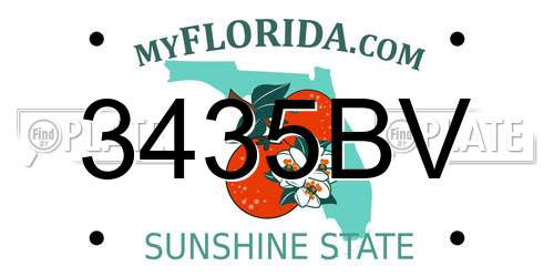 3435BV Florida License Plate