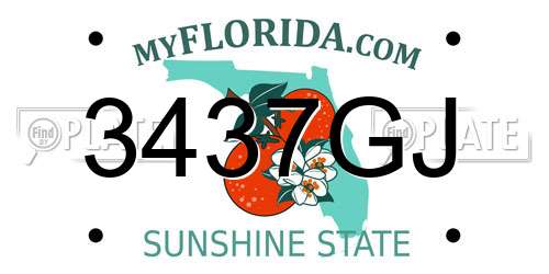 3437GJ Florida License Plate