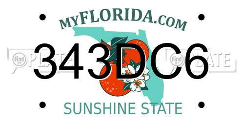 343DC6 Florida License Plate