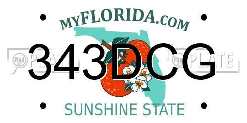 343DCG Florida License Plate
