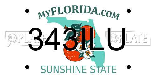 343ILU Florida License Plate