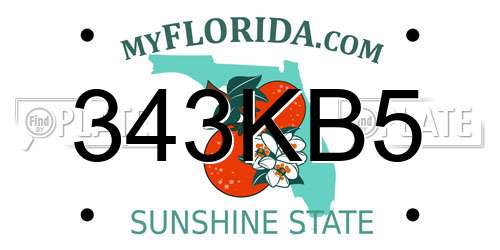 343KB5 Florida License Plate