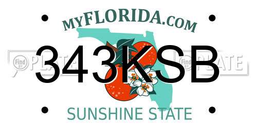 343KSB Florida License Plate