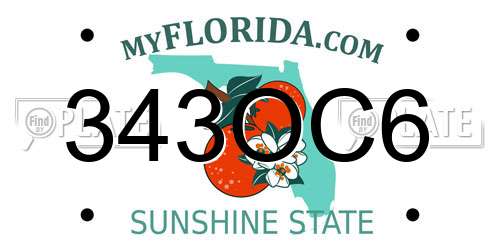 343OC6 Florida License Plate