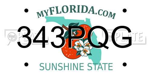 343PQG Florida License Plate
