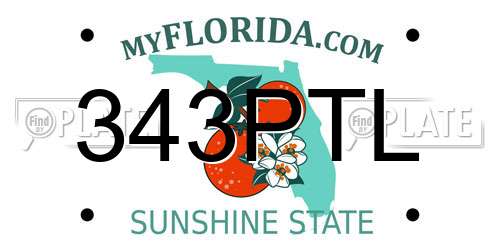 343PTL Florida License Plate
