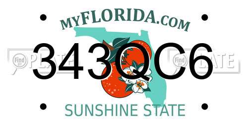 343QC6 Florida License Plate