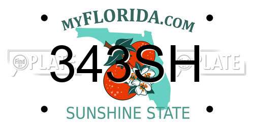 343SH Florida License Plate