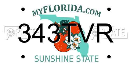 343TVR Florida License Plate