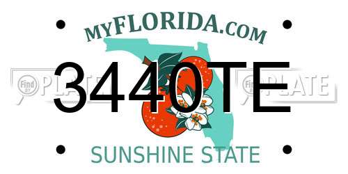 3440TE Florida License Plate