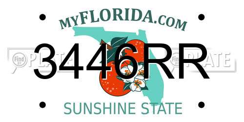 3446RR Florida License Plate
