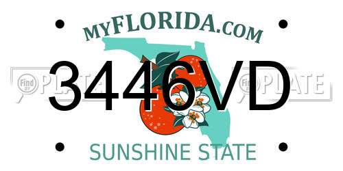 3446VD Florida License Plate