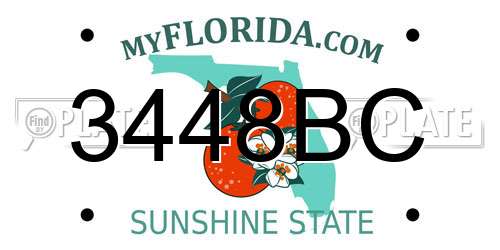 3448BC Florida License Plate