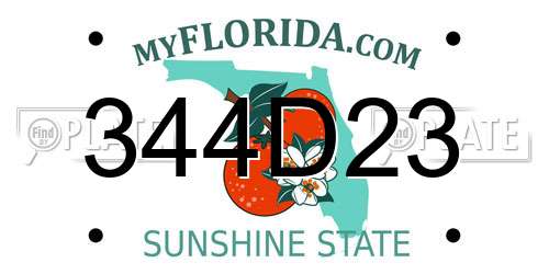 344D23 Florida License Plate
